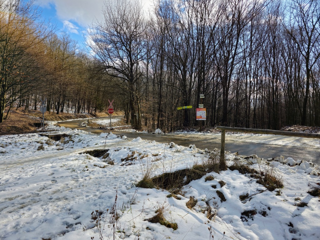 beillesztett kép