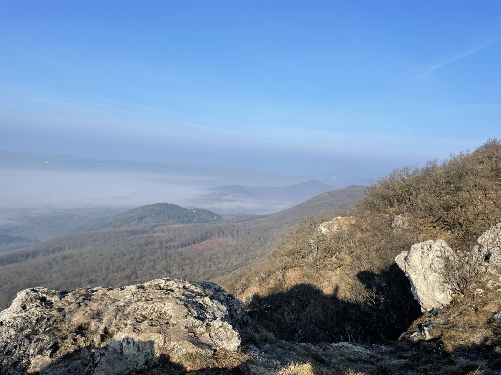 beillesztett kép