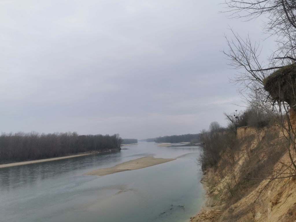 beillesztett kép