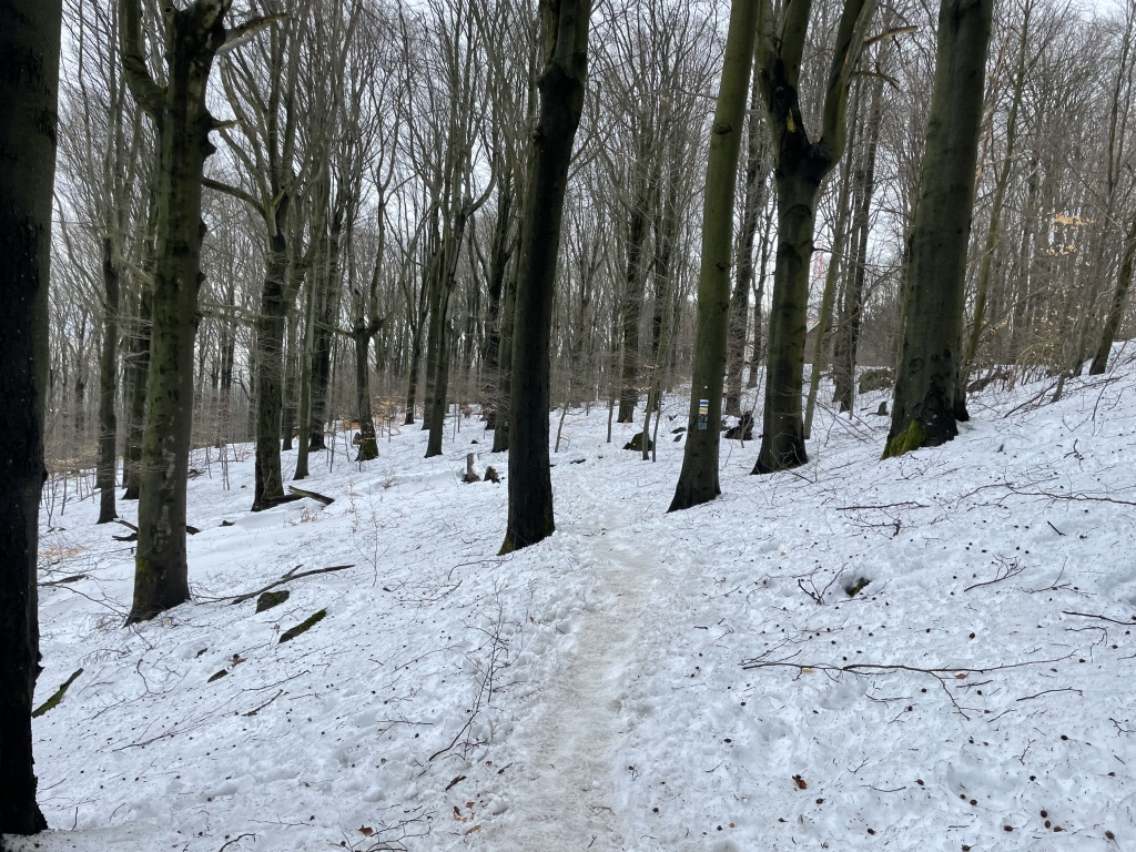 beillesztett kép