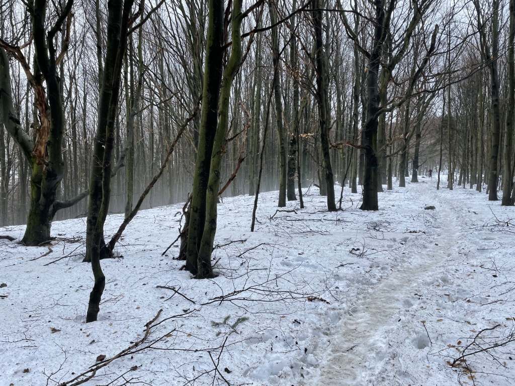 beillesztett kép