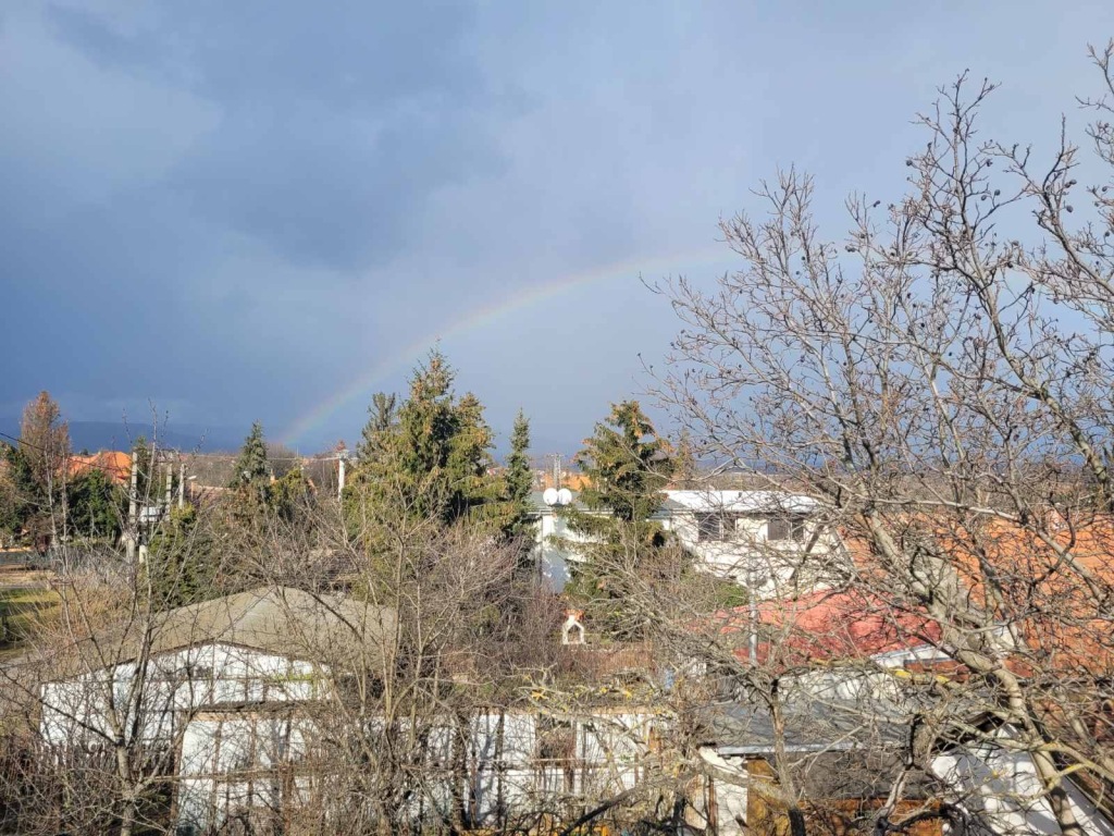 beillesztett kép