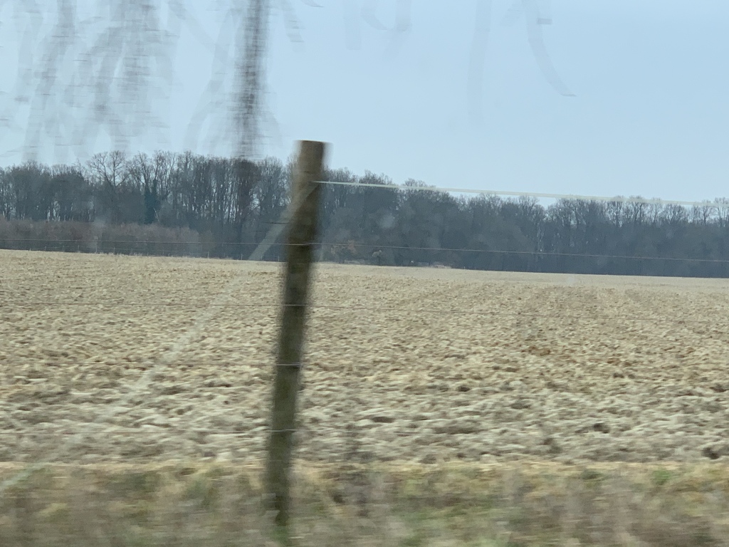 beillesztett kép