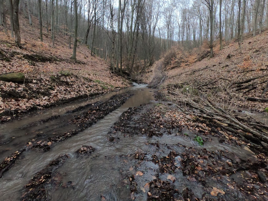 beillesztett kép