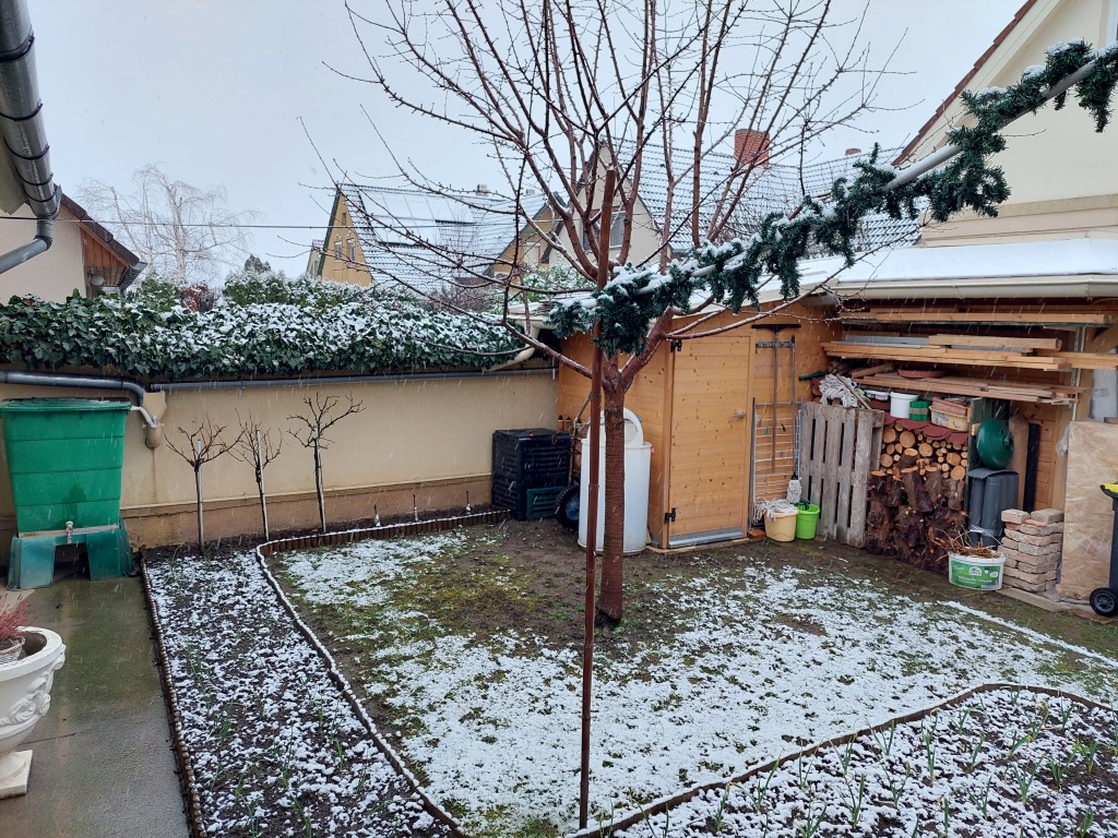 beillesztett kép
