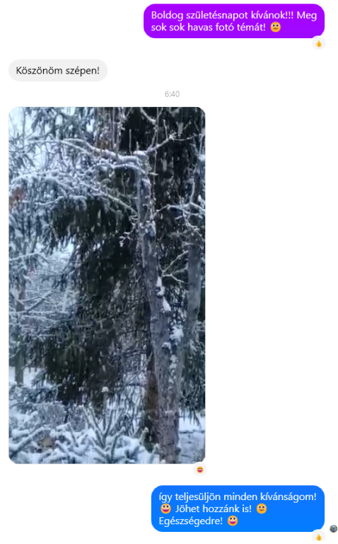beillesztett kép
