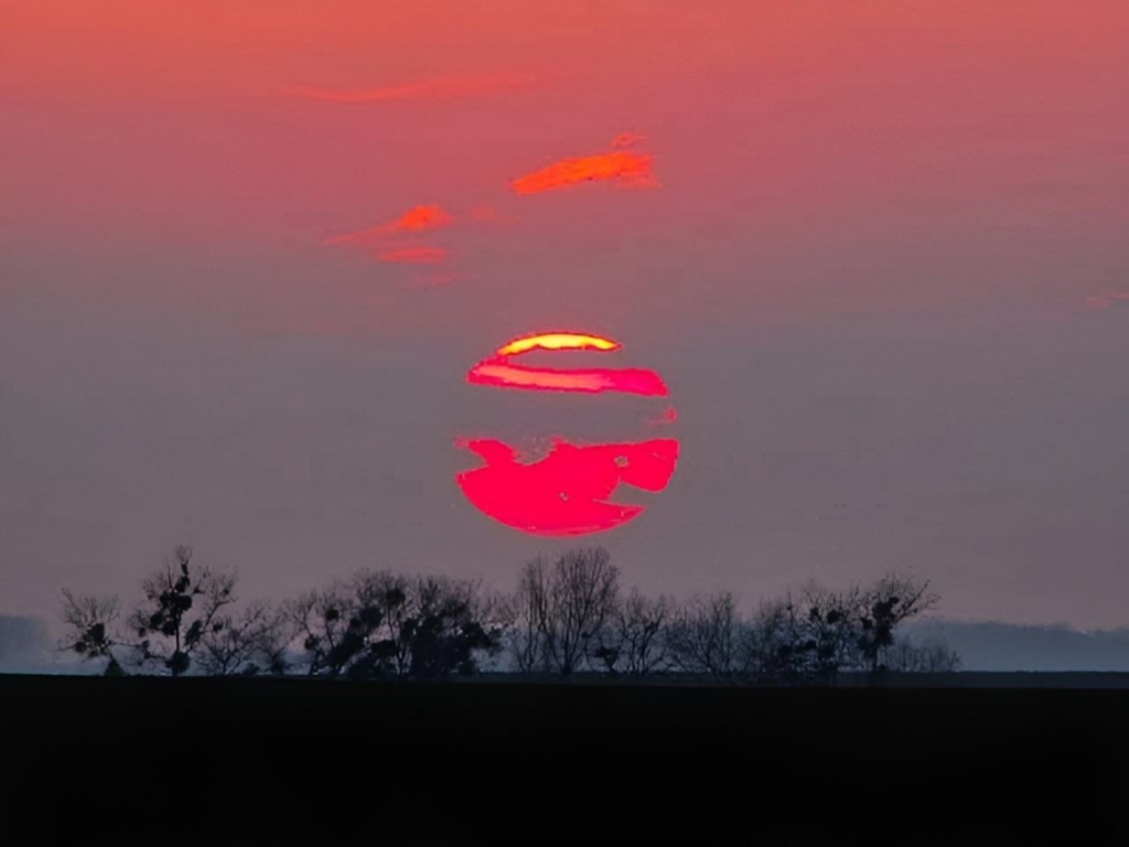 beillesztett kép