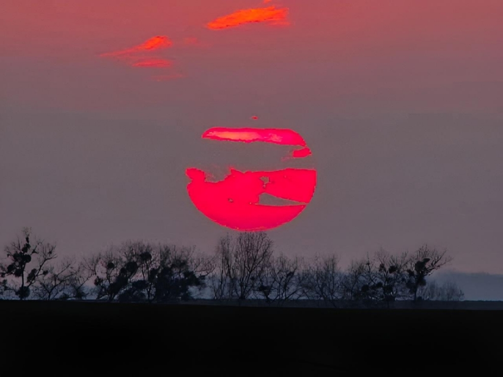 beillesztett kép