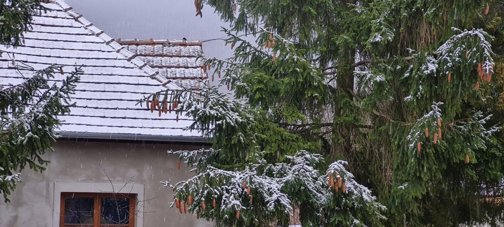 beillesztett kép