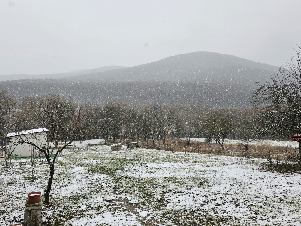 beillesztett kép
