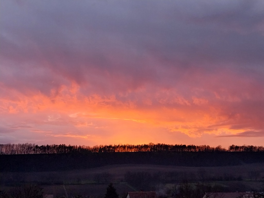 beillesztett kép