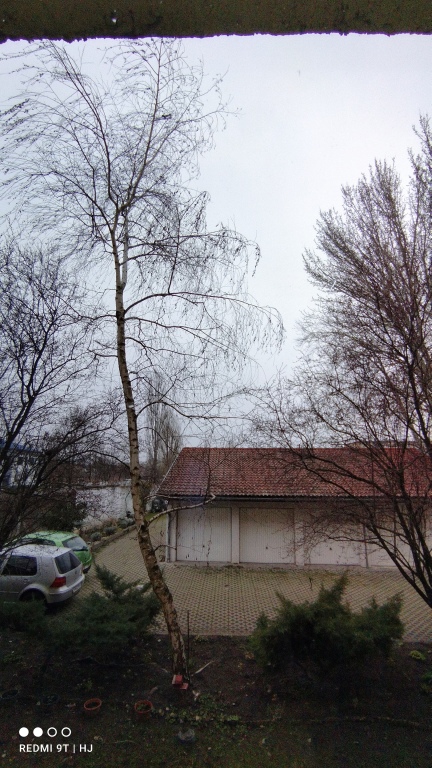 beillesztett kép