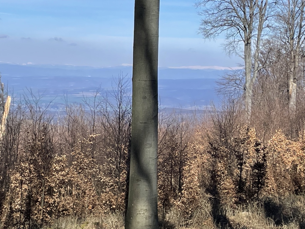 beillesztett kép