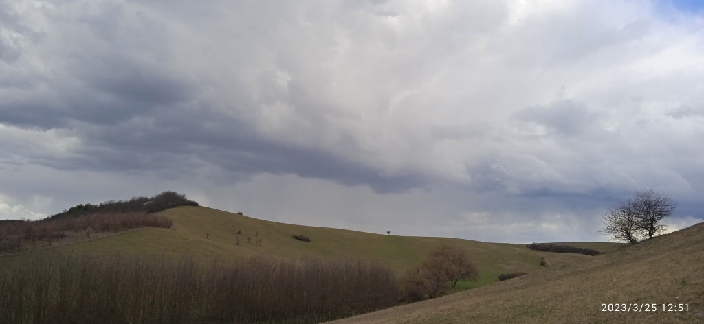 beillesztett kép