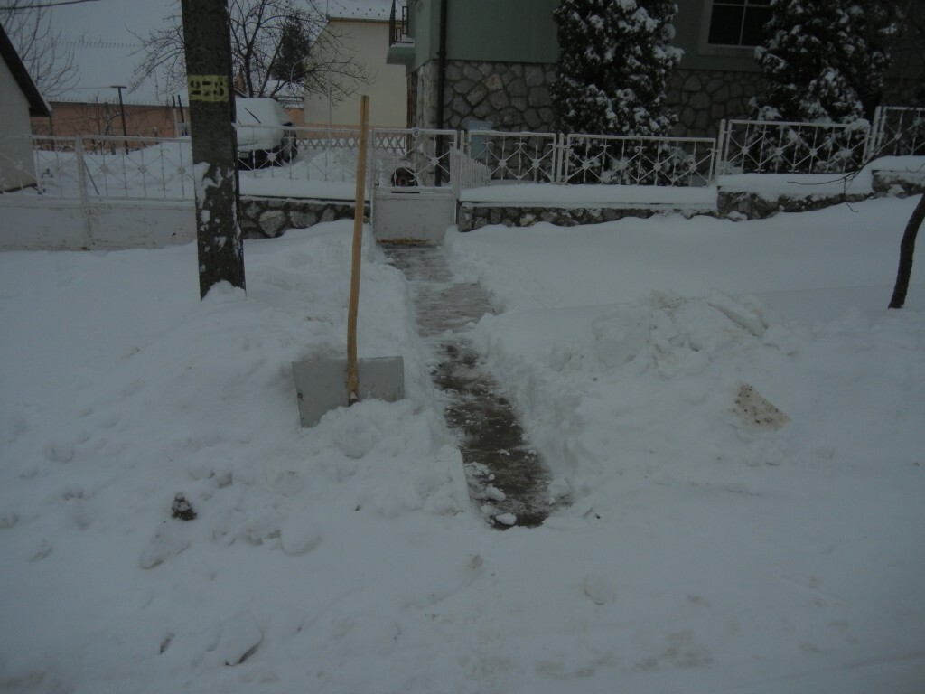 beillesztett kép