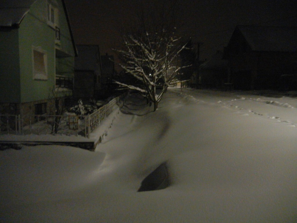 beillesztett kép