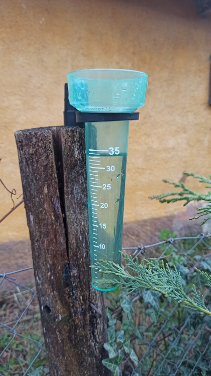beillesztett kép