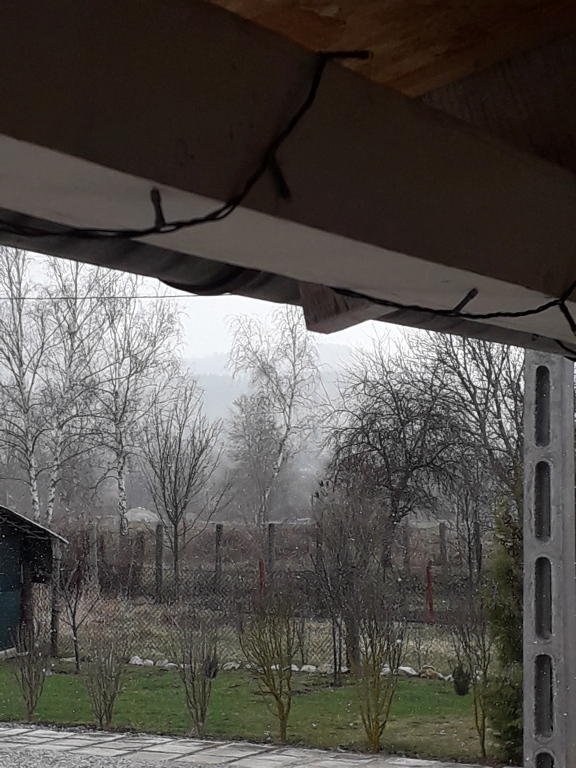 beillesztett kép
