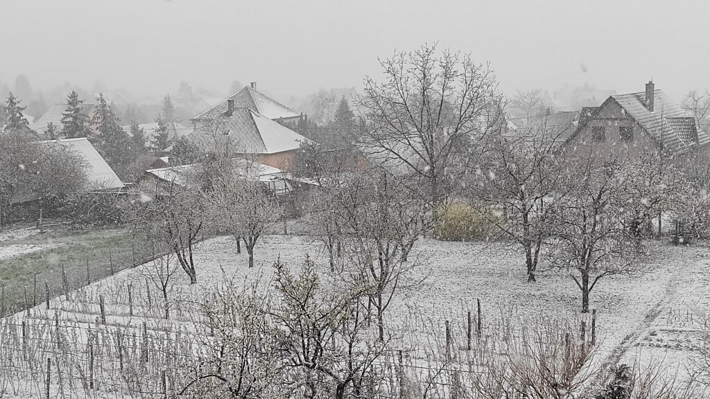 beillesztett kép