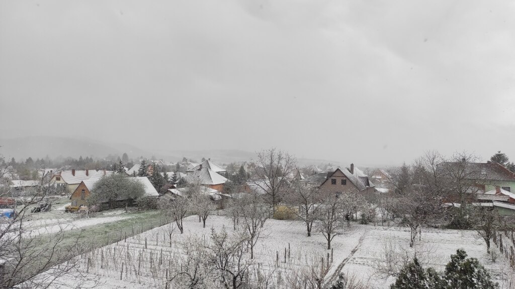 beillesztett kép