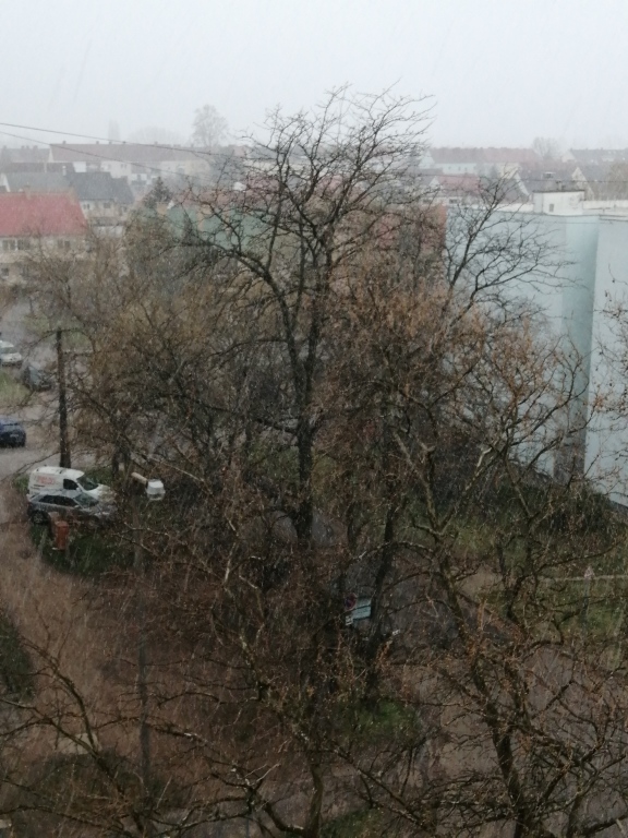 beillesztett kép