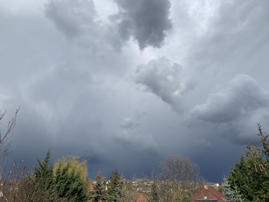 beillesztett kép