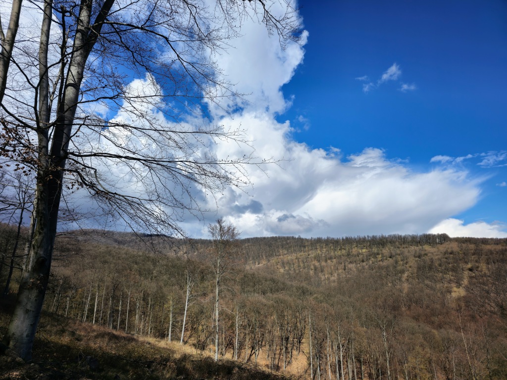 beillesztett kép