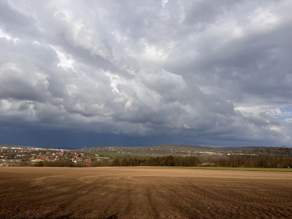 beillesztett kép