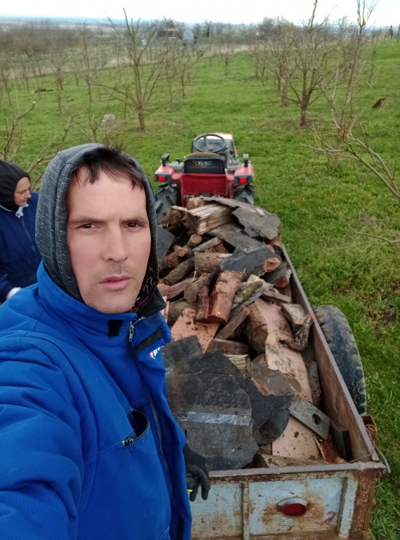 beillesztett kép