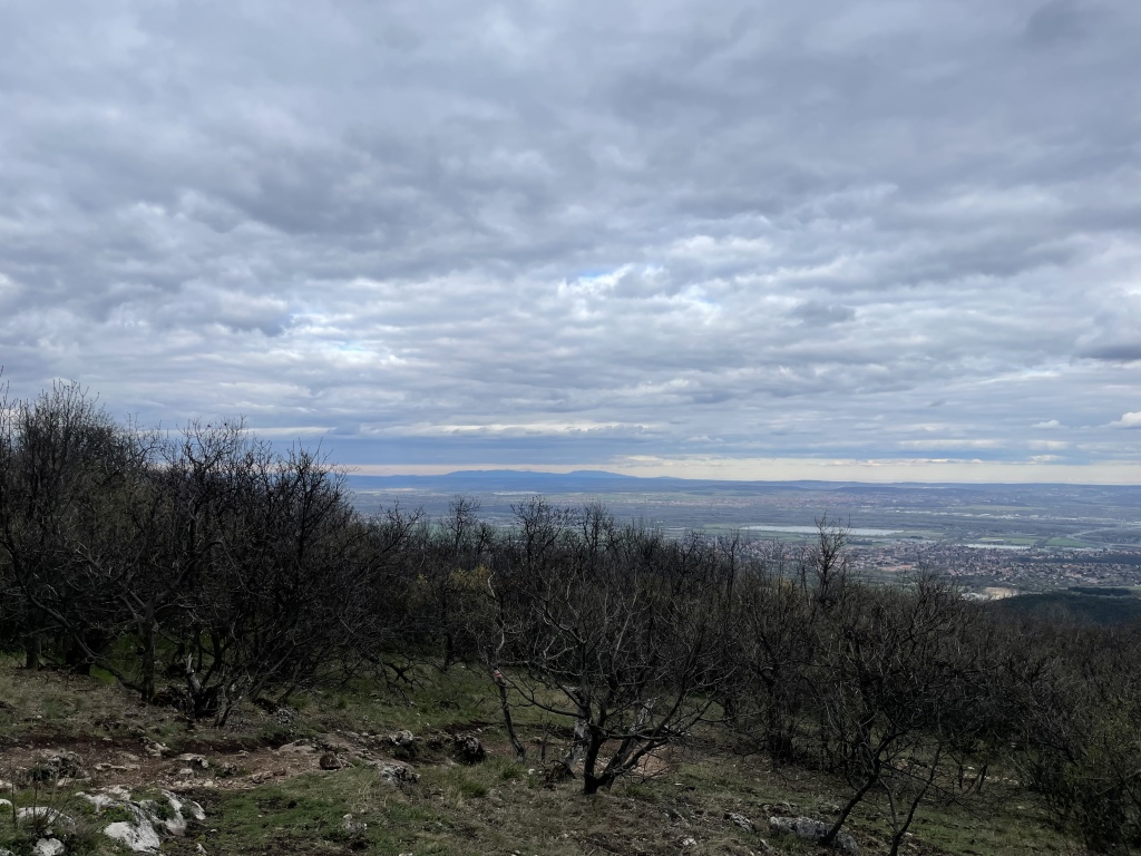 beillesztett kép