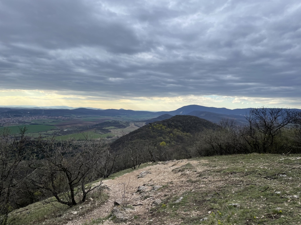 beillesztett kép