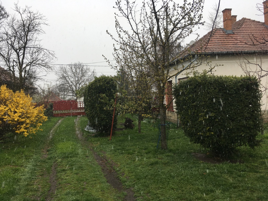 beillesztett kép