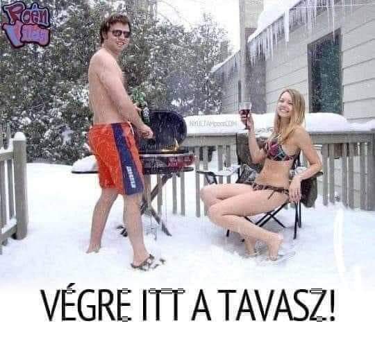beillesztett kép