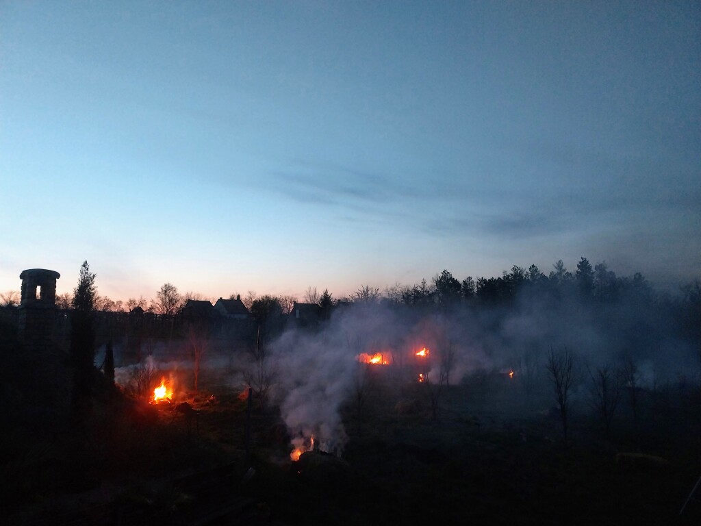 beillesztett kép