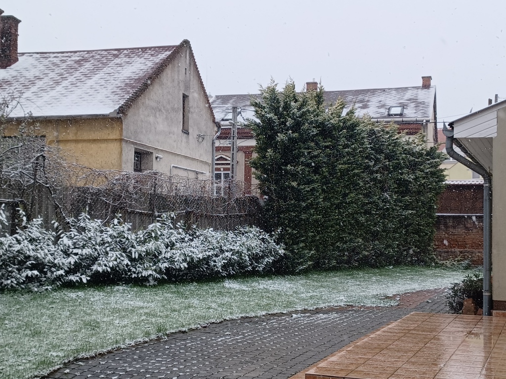 beillesztett kép