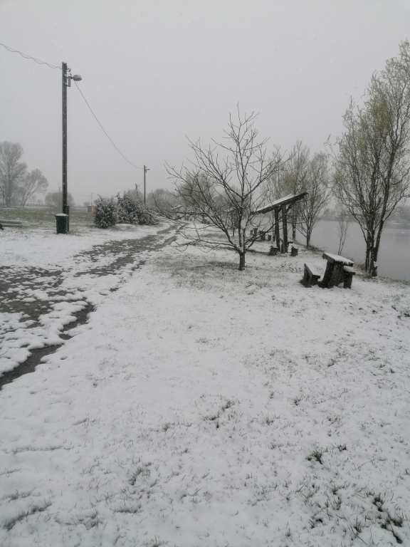 beillesztett kép