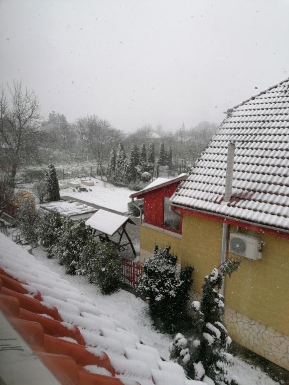 beillesztett kép