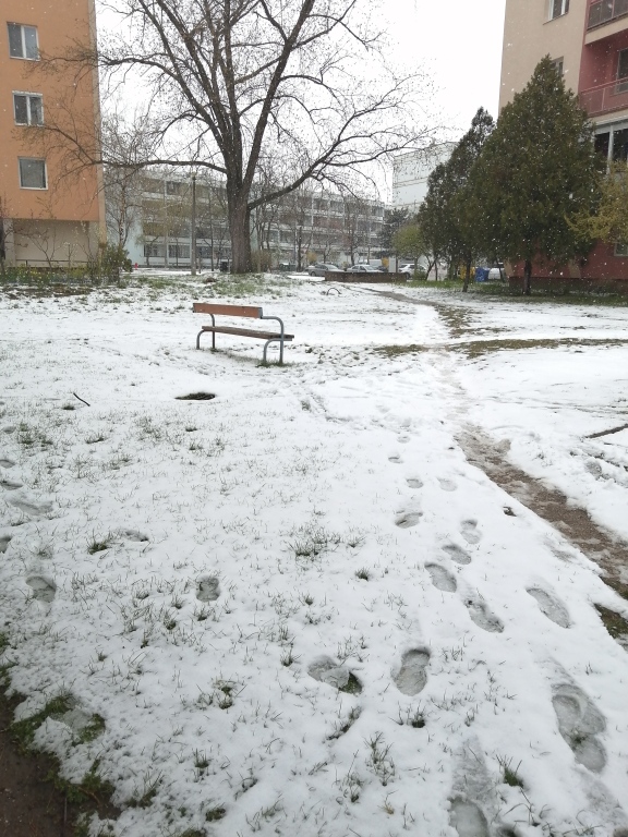 beillesztett kép