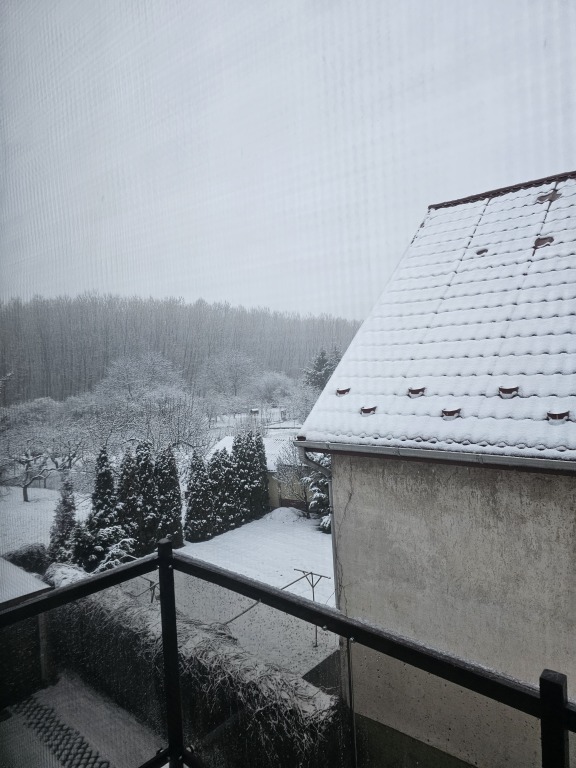 beillesztett kép