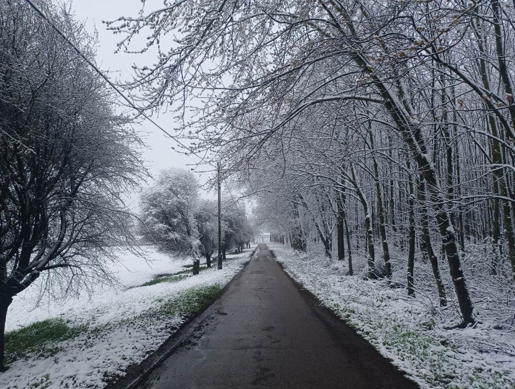 beillesztett kép
