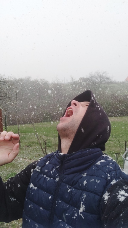 beillesztett kép