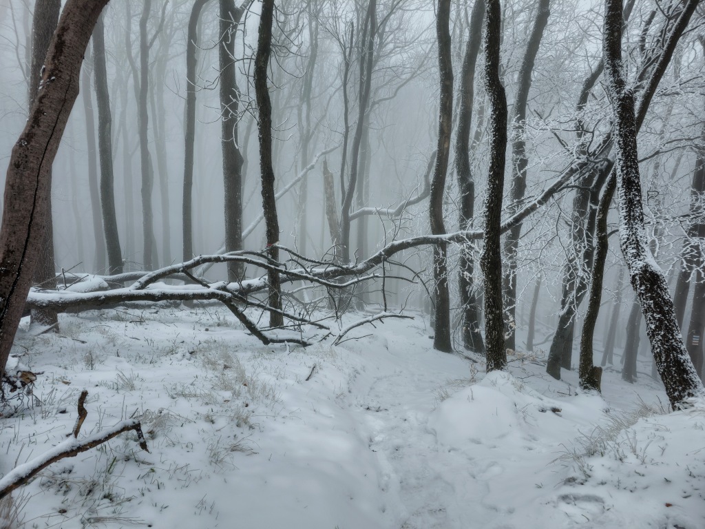 beillesztett kép