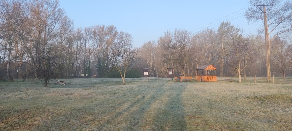 beillesztett kép
