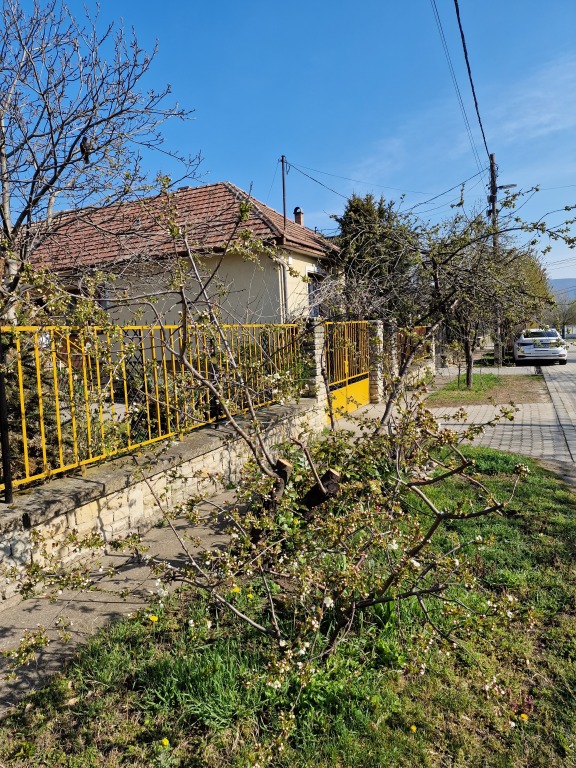 beillesztett kép