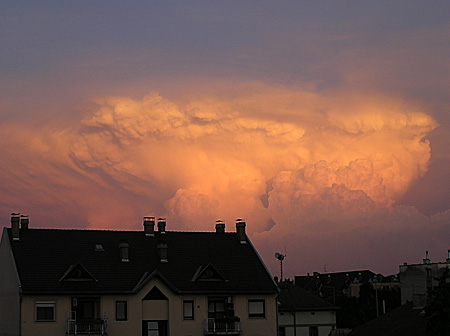 Cumulonimbus capillatus
