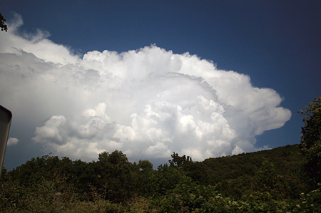 Cumulonimbus calvus