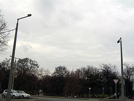 Stratocumulus stratiformis